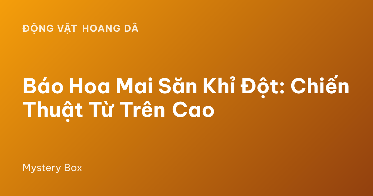 Báo Hoa Mai Săn Khỉ Đột: Chiến Thuật Từ Trên Cao