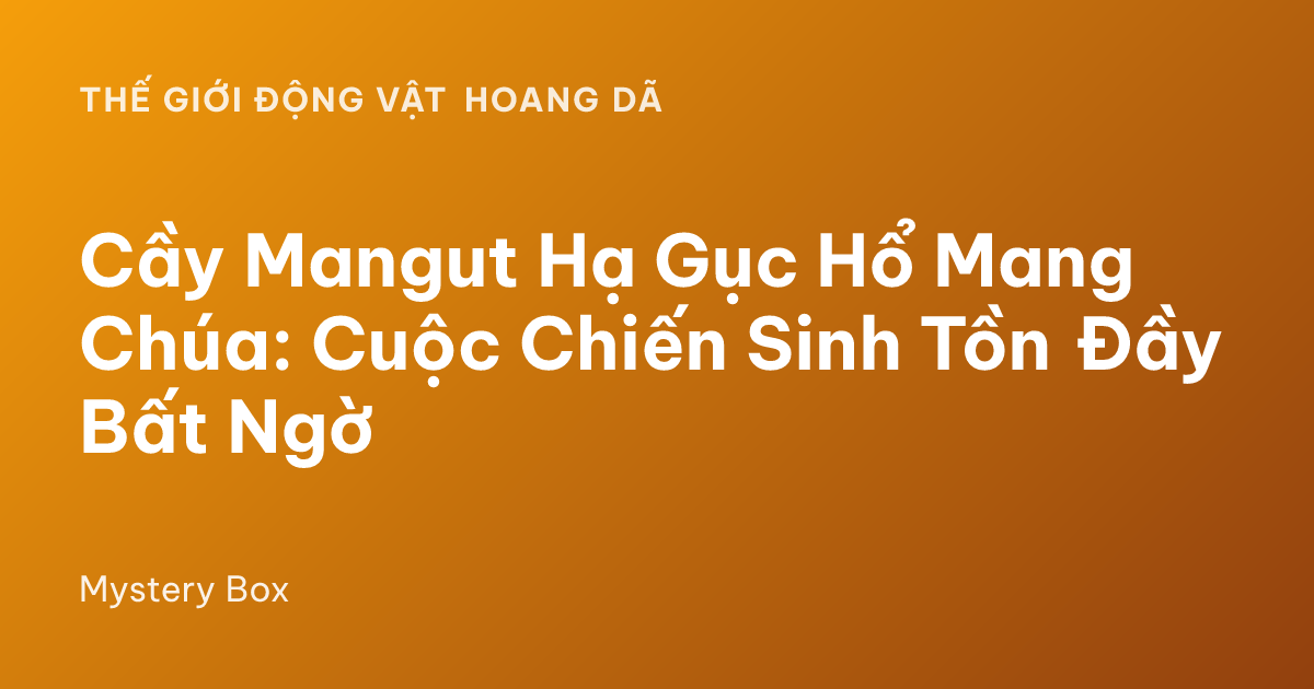 Cầy Mangut Hạ Gục Hổ Mang Chúa: Cuộc Chiến Sinh Tồn Đầy Bất Ngờ