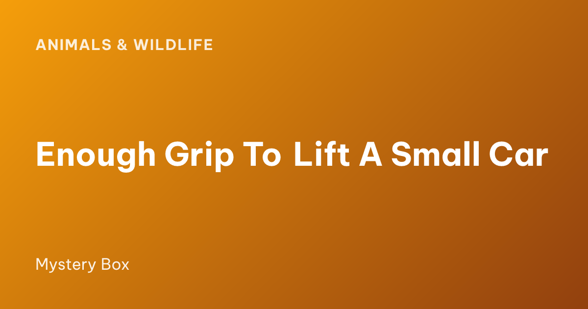 Enough Grip To Lift A Small Car