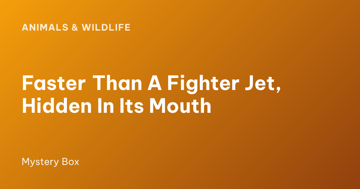 Faster Than A Fighter Jet, Hidden In Its Mouth