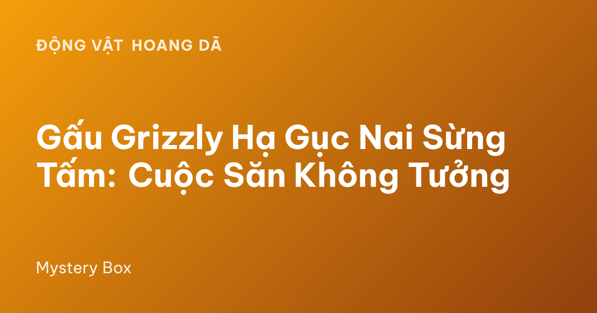 Gấu Grizzly Hạ Gục Nai Sừng Tấm: Cuộc Săn Không Tưởng