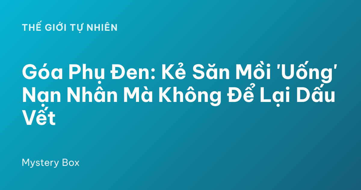 Góa Phụ Đen: Kẻ Săn Mồi 'Uống' Nạn Nhân Mà Không Để Lại Dấu Vết