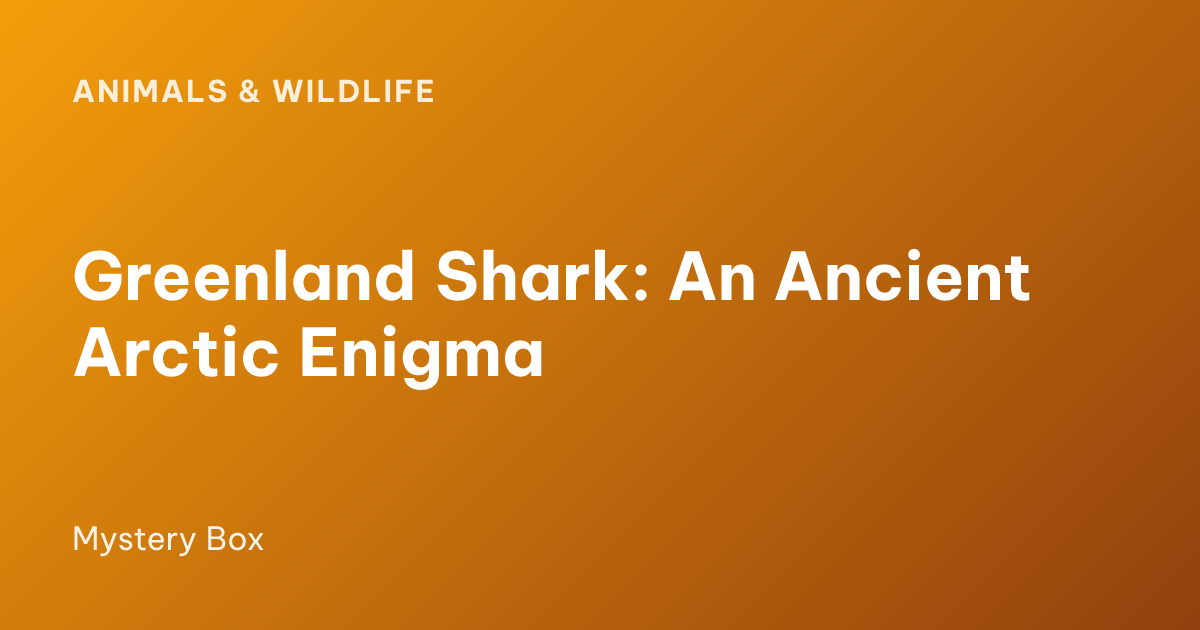 Greenland Shark: An Ancient Arctic Enigma
