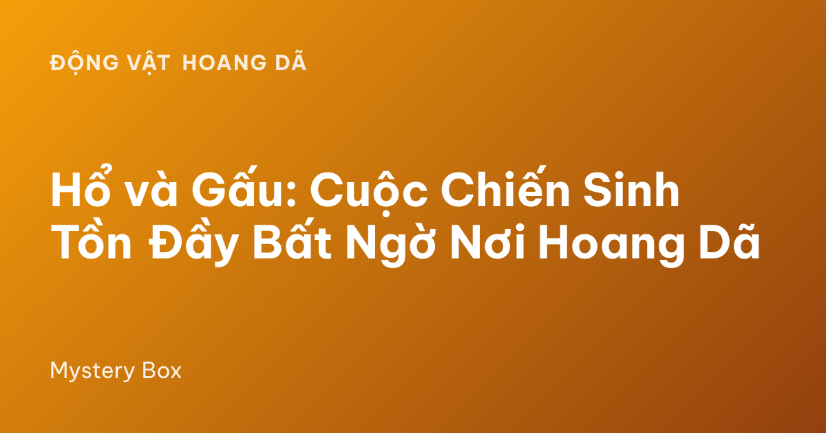 Hổ và Gấu: Cuộc Chiến Sinh Tồn Đầy Bất Ngờ Nơi Hoang Dã