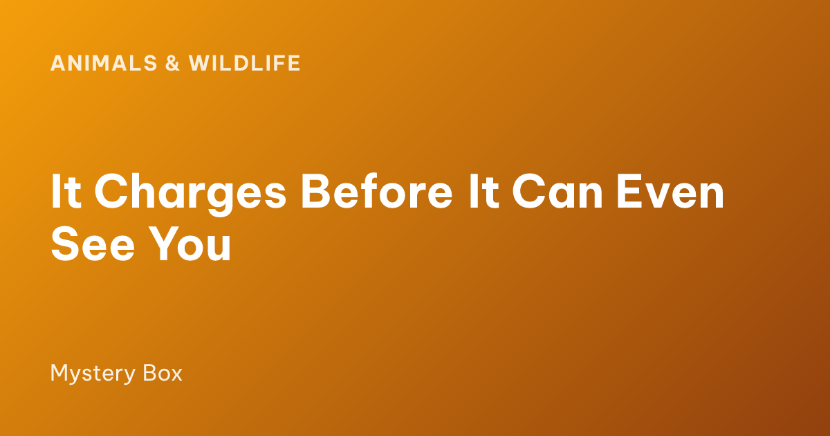 It Charges Before It Can Even See You