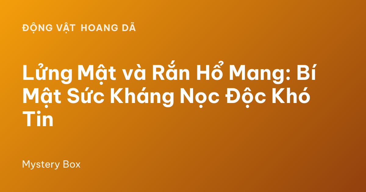 Lửng Mật và Rắn Hổ Mang: Bí Mật Sức Kháng Nọc Độc Khó Tin