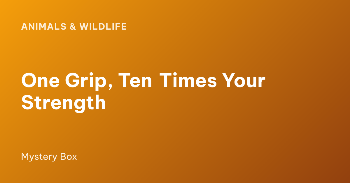 One Grip, Ten Times Your Strength
