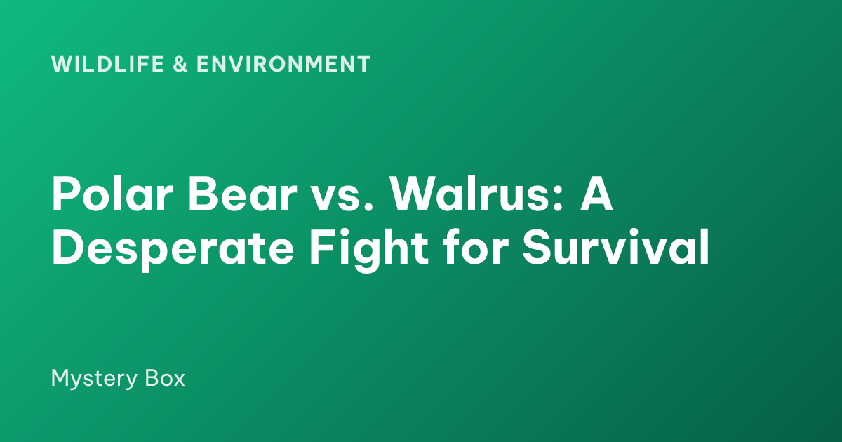 Polar Bear vs. Walrus: A Desperate Fight for Survival