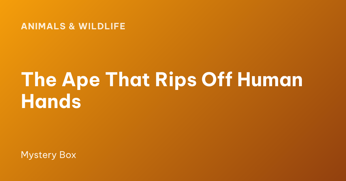 The Ape That Rips Off Human Hands