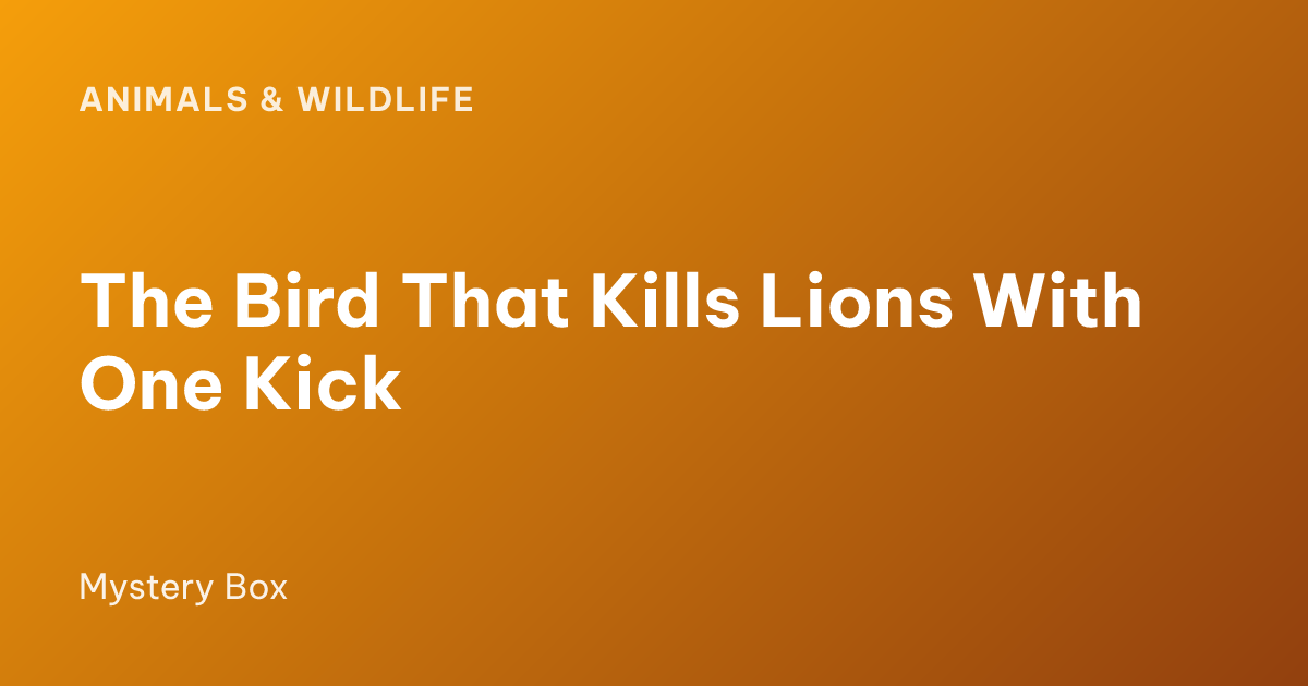 The Bird That Kills Lions With One Kick
