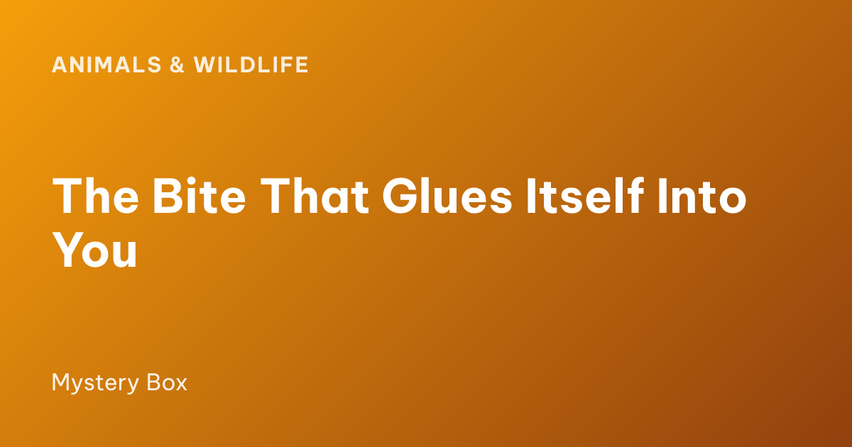 The Bite That Glues Itself Into You