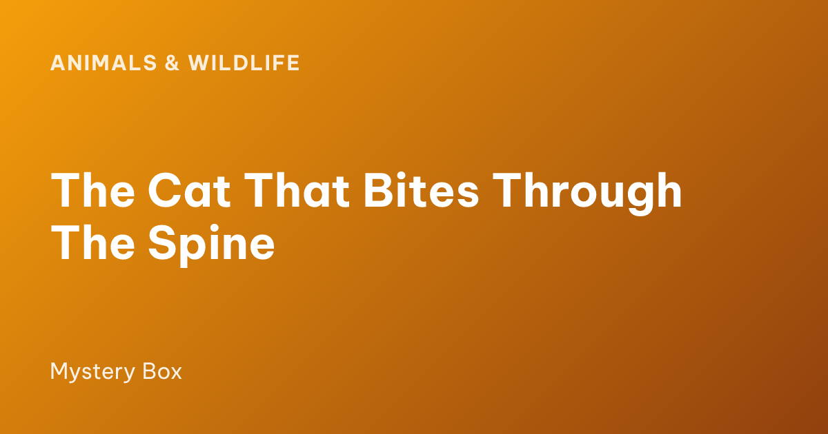 The Cat That Bites Through The Spine