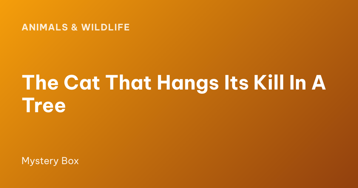 The Cat That Hangs Its Kill In A Tree