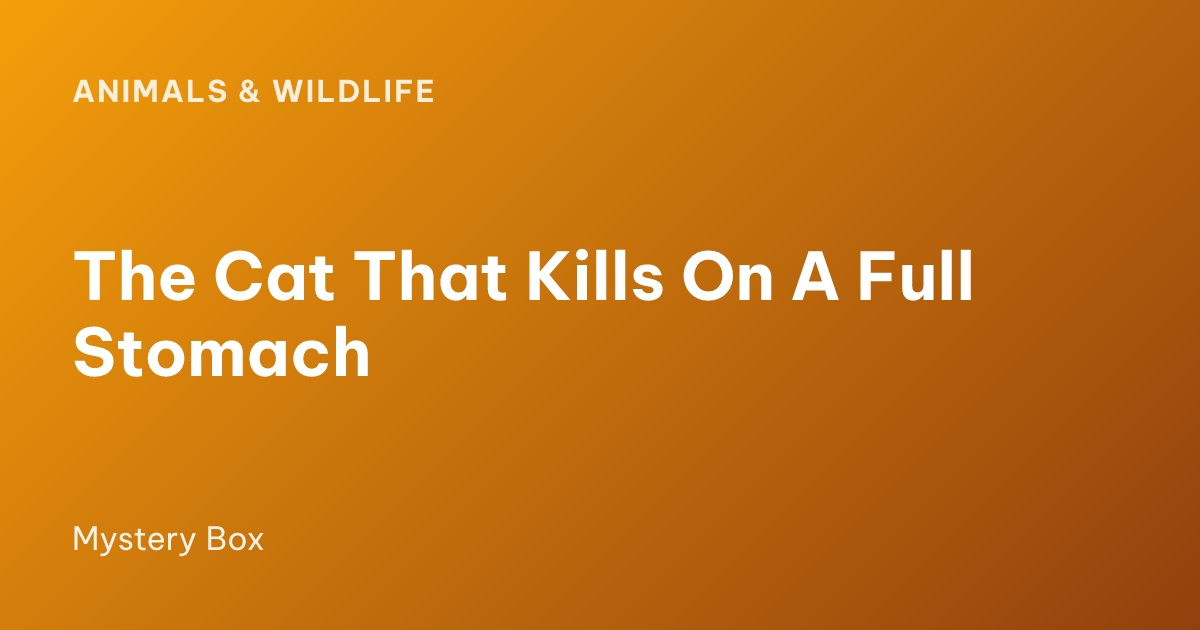 The Cat That Kills On A Full Stomach