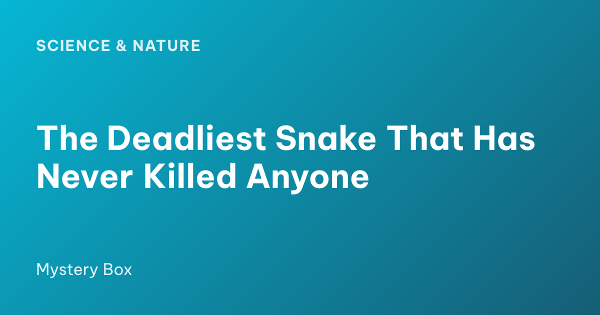 The Deadliest Snake That Has Never Killed Anyone