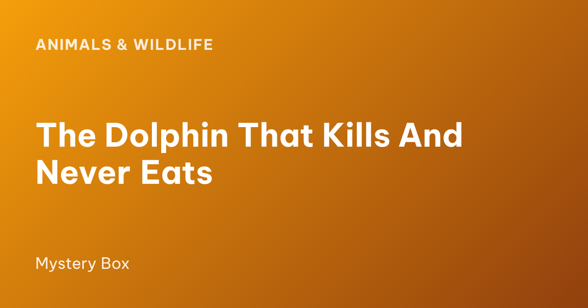 The Dolphin That Kills And Never Eats