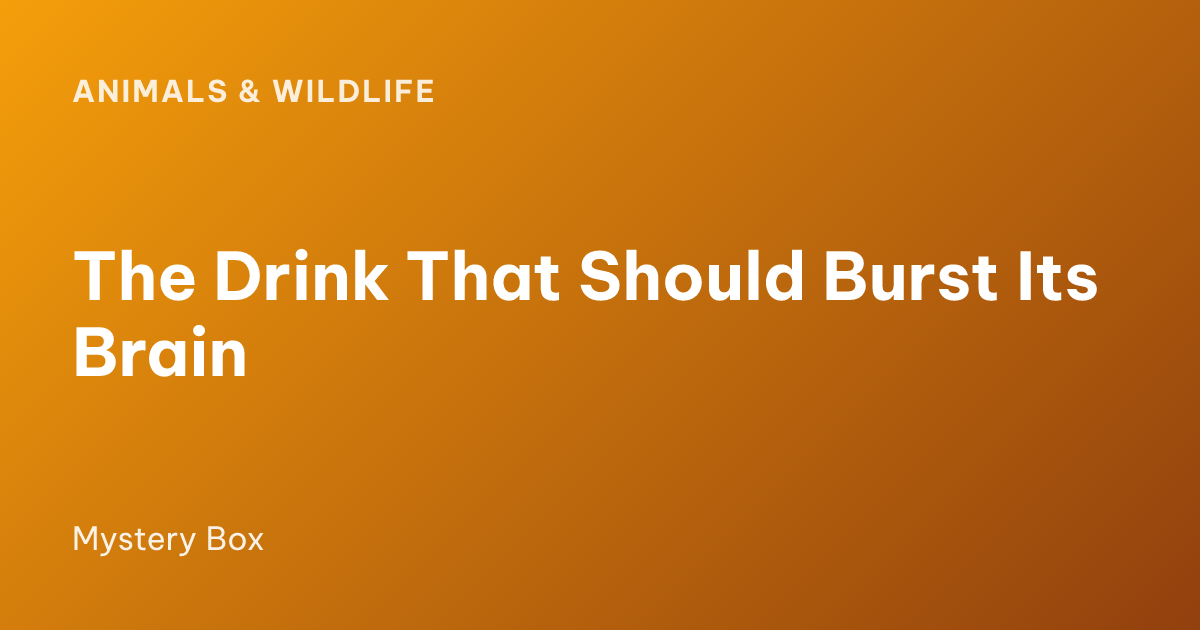 The Drink That Should Burst Its Brain