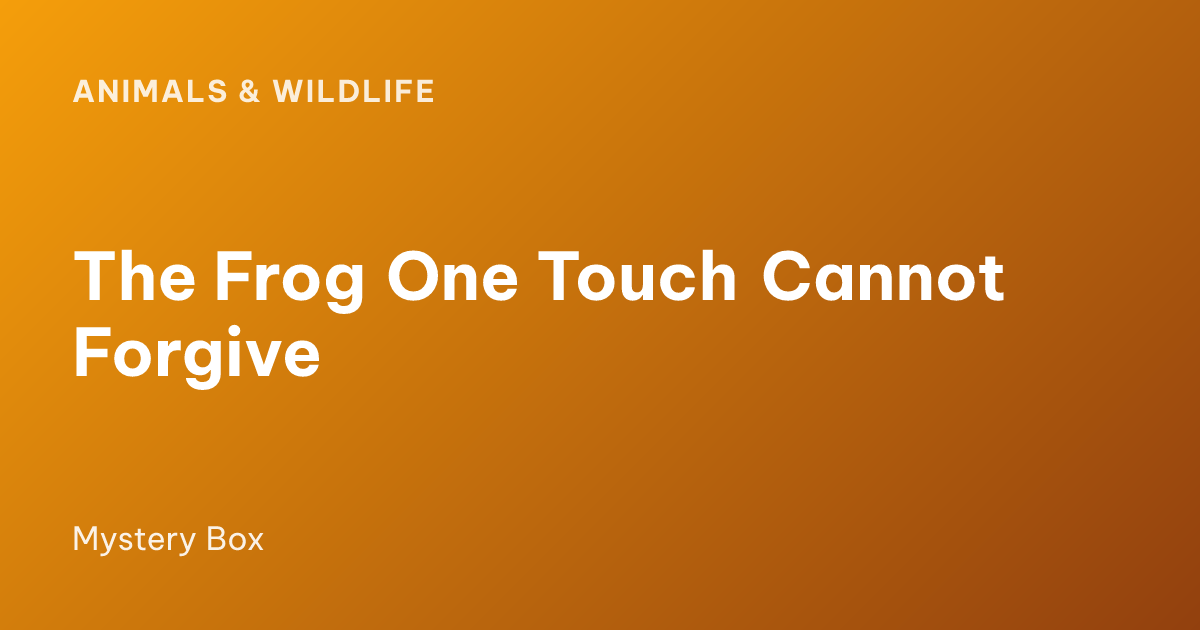 The Frog One Touch Cannot Forgive