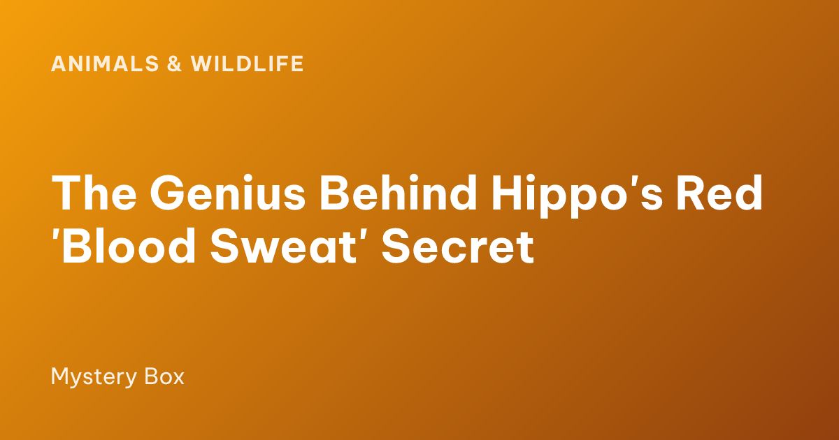 The Genius Behind Hippo's Red 'Blood Sweat' Secret