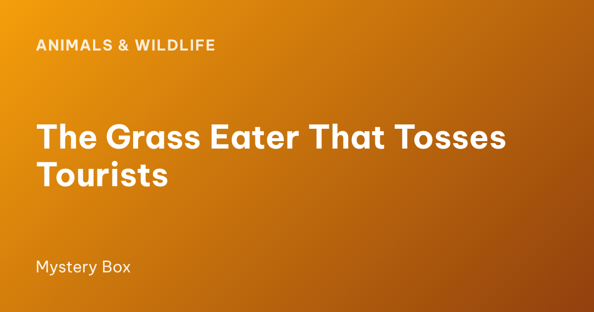 The Grass Eater That Tosses Tourists