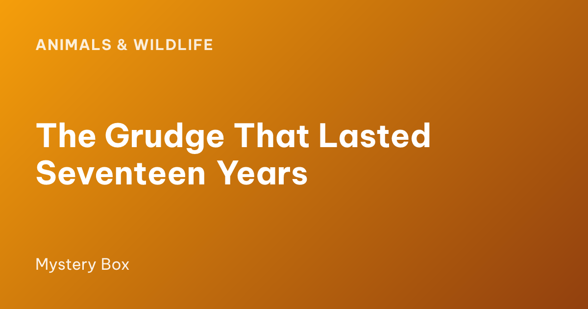 The Grudge That Lasted Seventeen Years