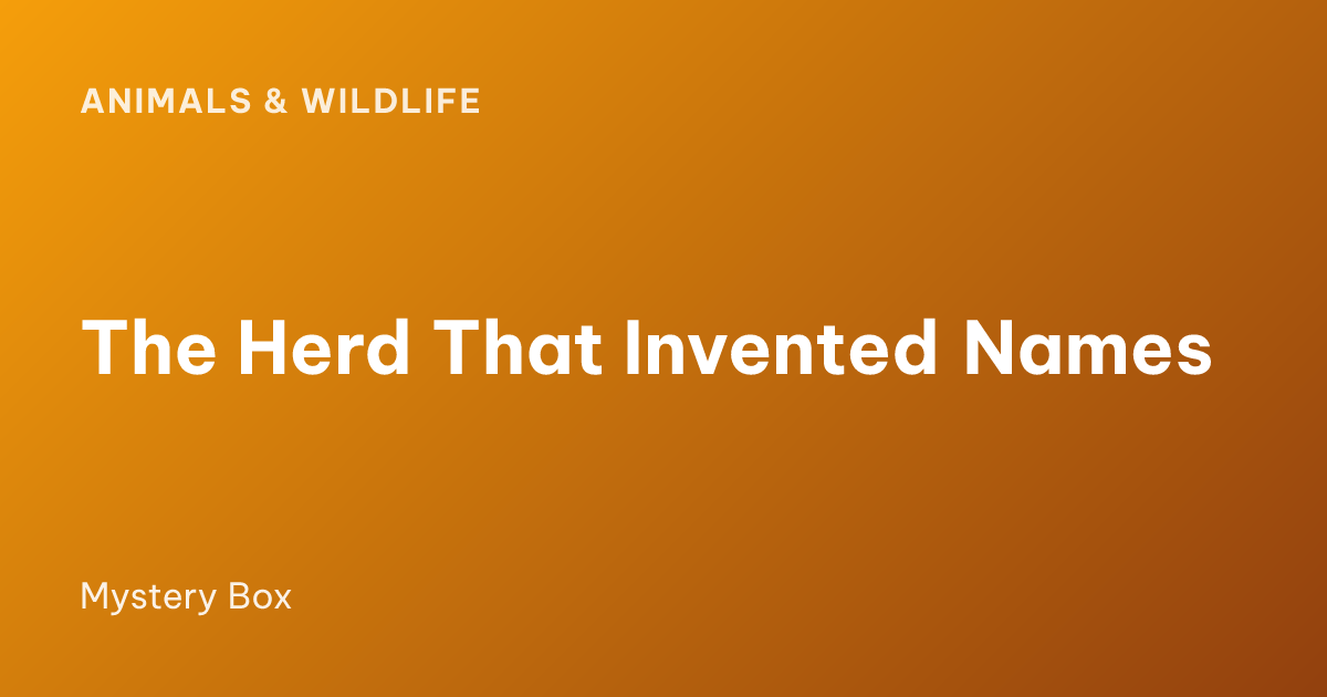 The Herd That Invented Names