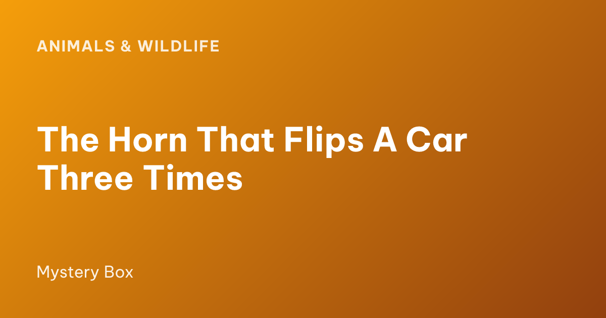 The Horn That Flips A Car Three Times