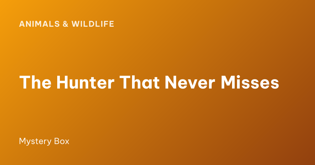 The Hunter That Never Misses