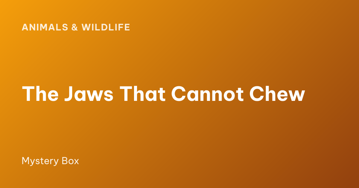 The Jaws That Cannot Chew