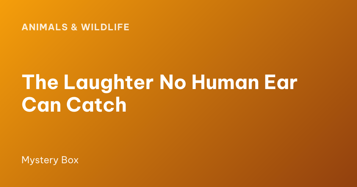 The Laughter No Human Ear Can Catch