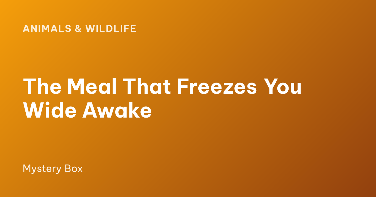 The Meal That Freezes You Wide Awake