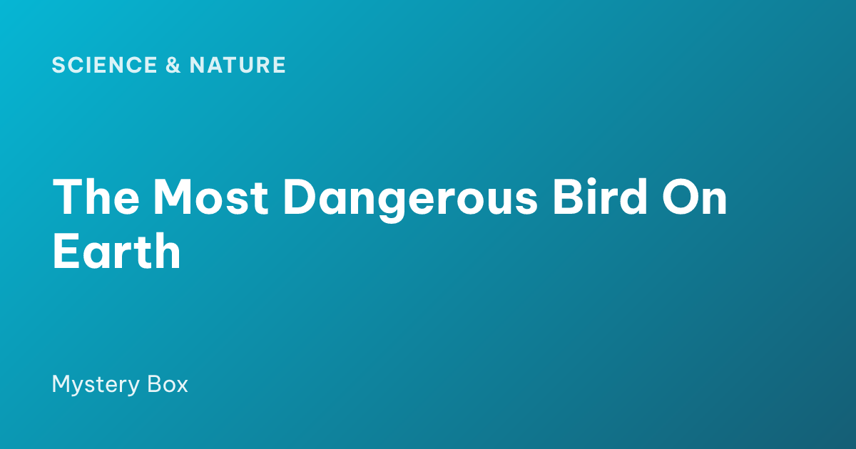 The Most Dangerous Bird On Earth