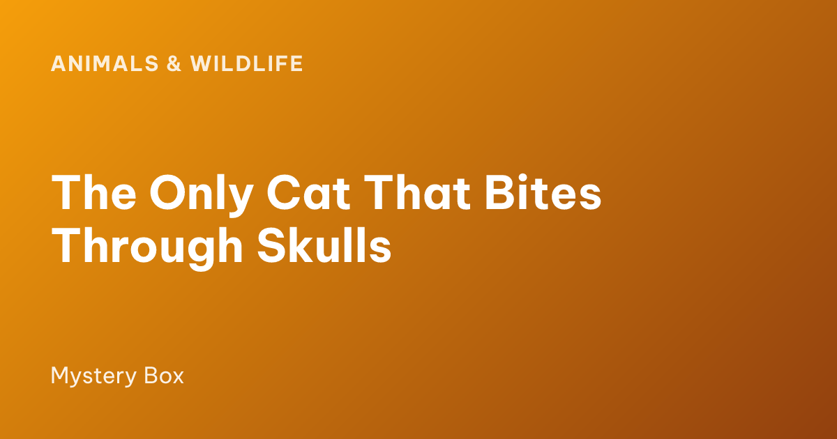 The Only Cat That Bites Through Skulls