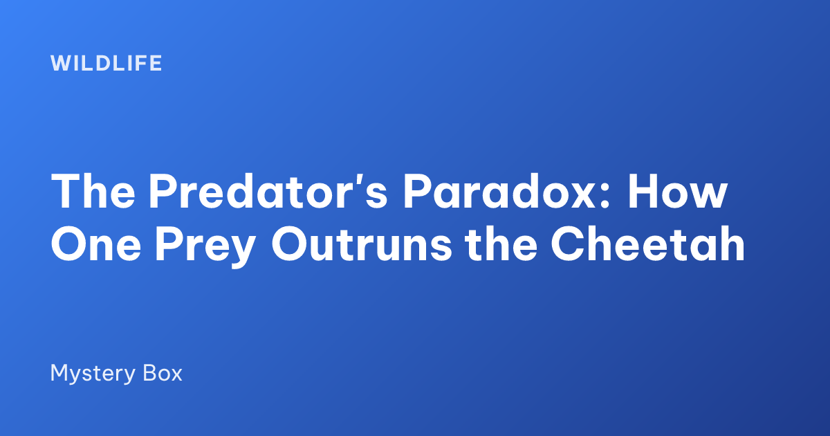 The Predator's Paradox: How One Prey Outruns the Cheetah