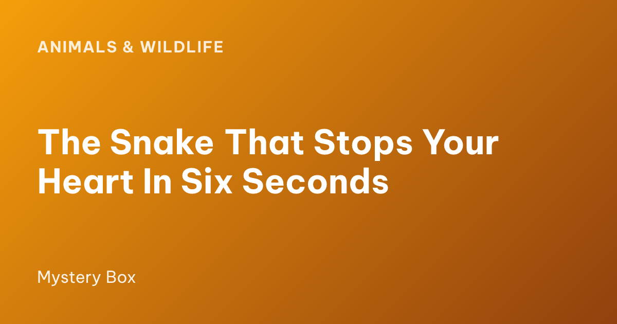 The Snake That Stops Your Heart In Six Seconds