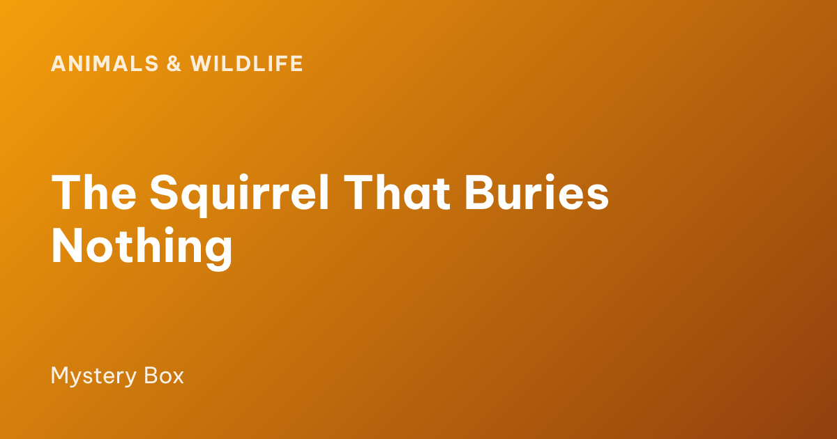 The Squirrel That Buries Nothing