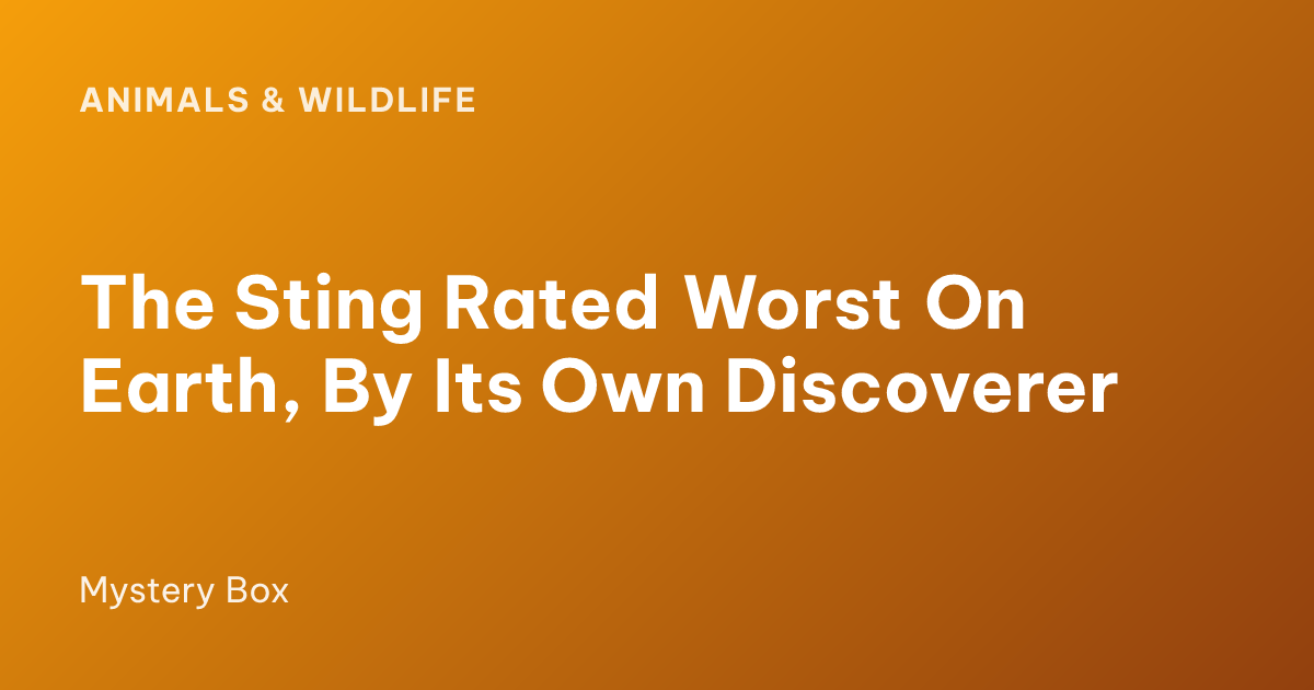 The Sting Rated Worst On Earth, By Its Own Discoverer