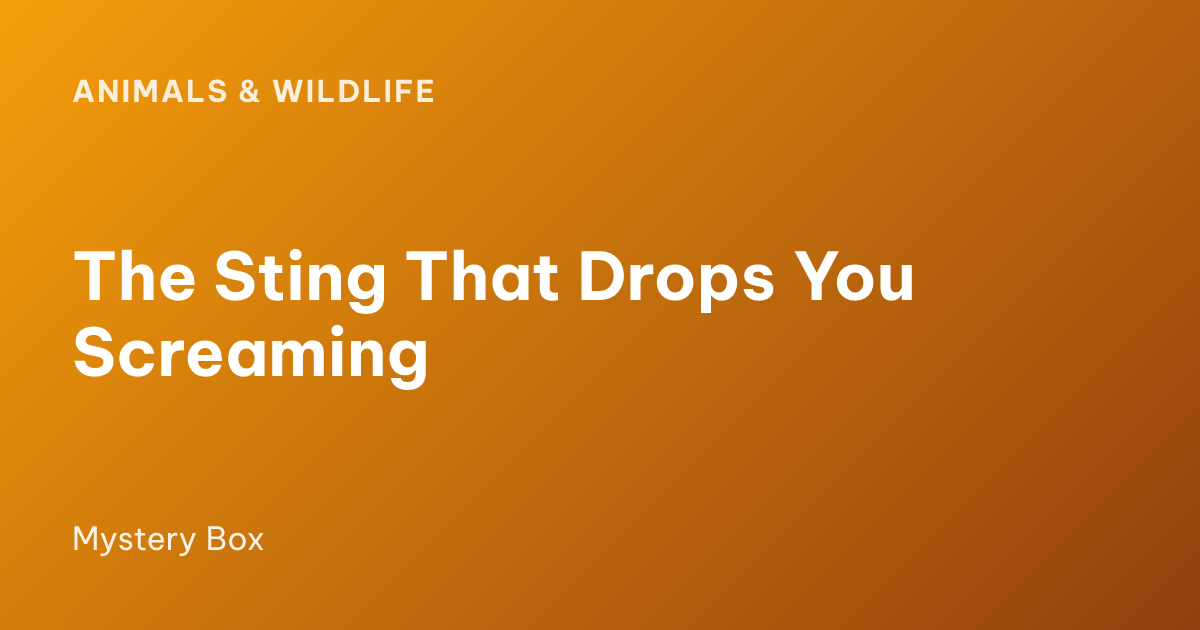 The Sting That Drops You Screaming