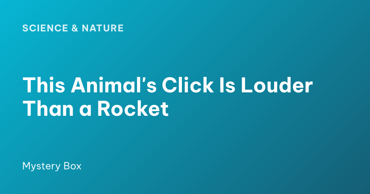 This Animal's Click Is Louder Than a Rocket