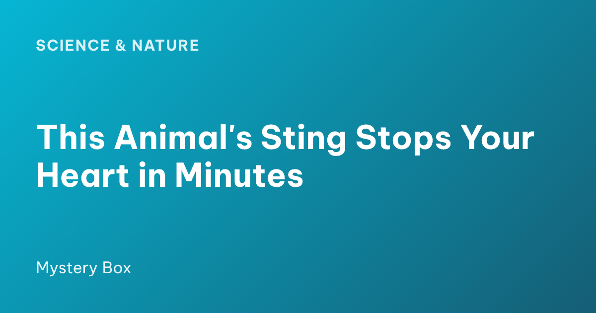 This Animal's Sting Stops Your Heart in Minutes