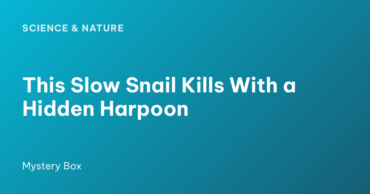 This Slow Snail Kills With a Hidden Harpoon