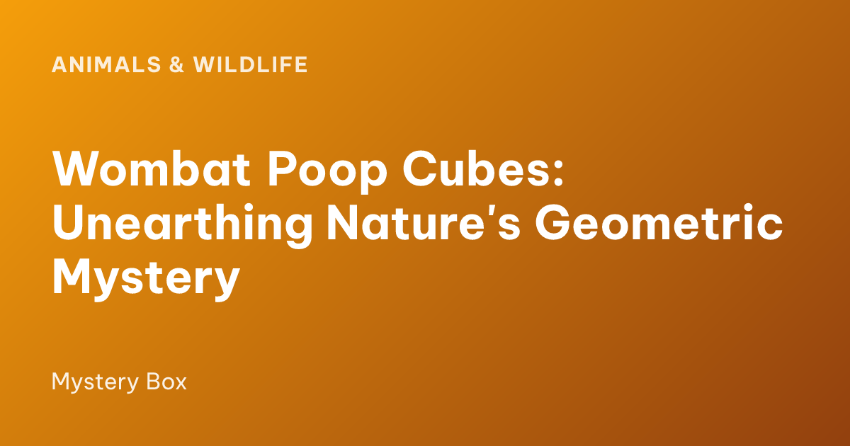 Wombat Poop Cubes: Unearthing Nature's Geometric Mystery