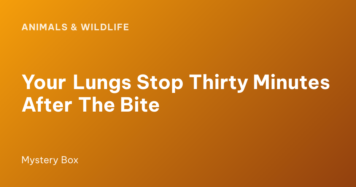 Your Lungs Stop Thirty Minutes After The Bite